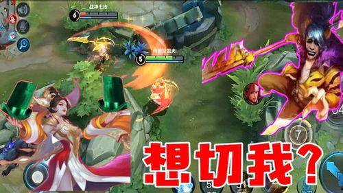 姐夫爆料王者荣耀视频,姐夫爆料视频揭秘游戏幕后故事